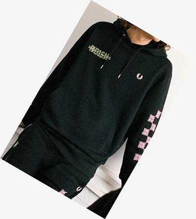 Black Fred Perry Adish Embroidered Hooded Women's Sweatshirt | UJAPI-1829